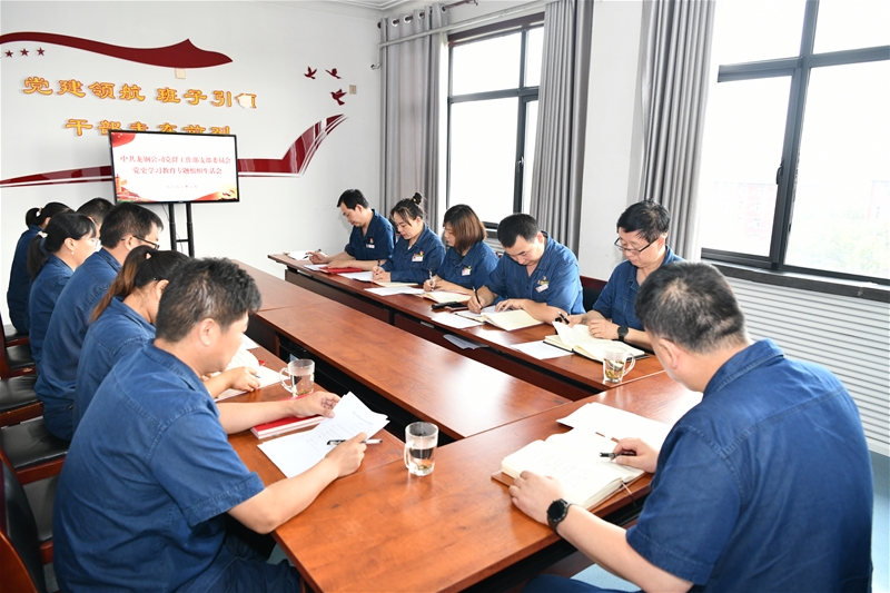 公司带领以通俗党员身份参与地点党支部党史进修教导专题构造糊口会